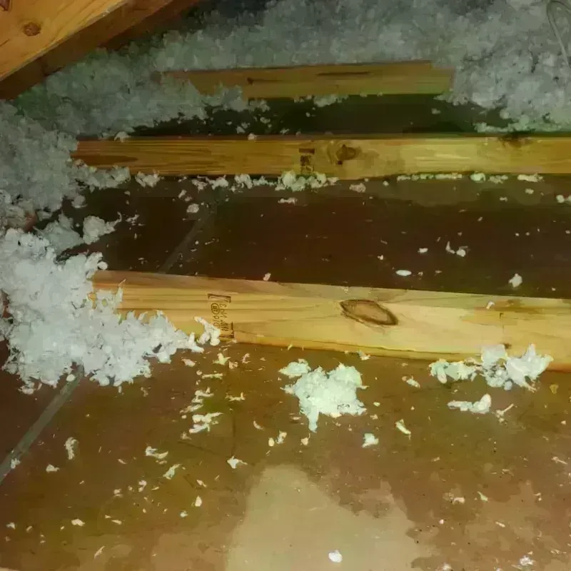 Attic Water Damage in Atlantis, FL