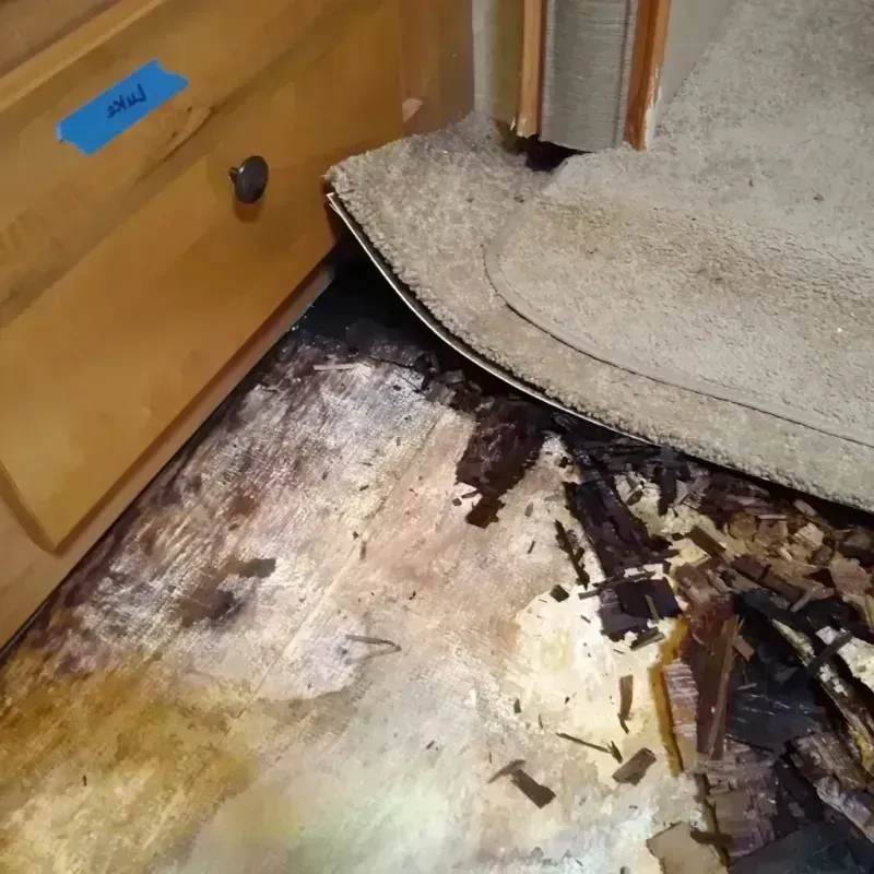 Wood Floor Water Damage in Atlantis, FL